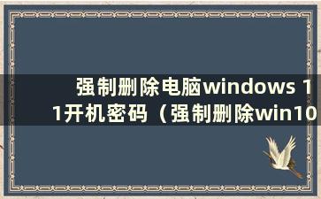 强制删除电脑windows 11开机密码（强制删除win10开机密码）